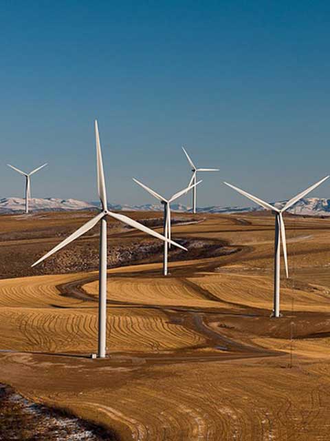 手机号在线轰炸测试